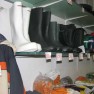agropharm